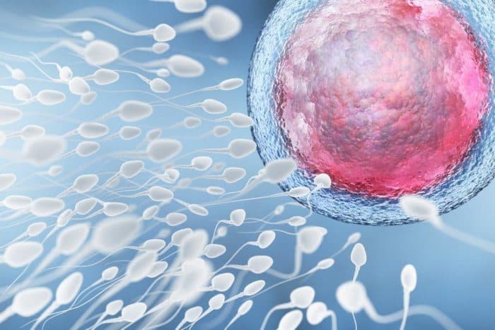 Analiza sperme je test moške plodnosti
