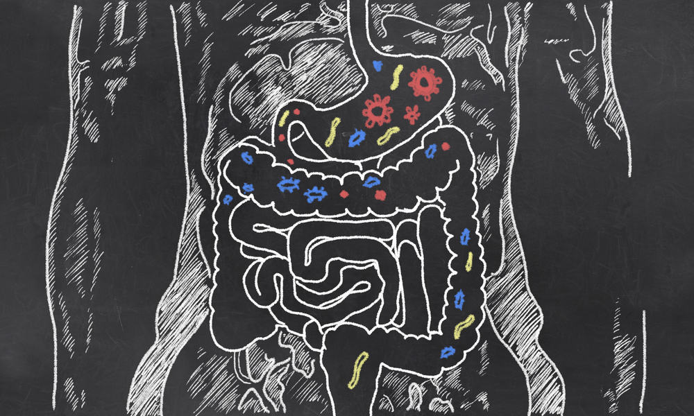 prehranskih vzorcev, ki temeljijo na bakterijah v črevesju