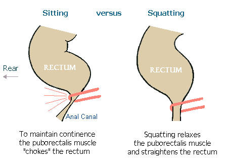 sedenje proti squatting