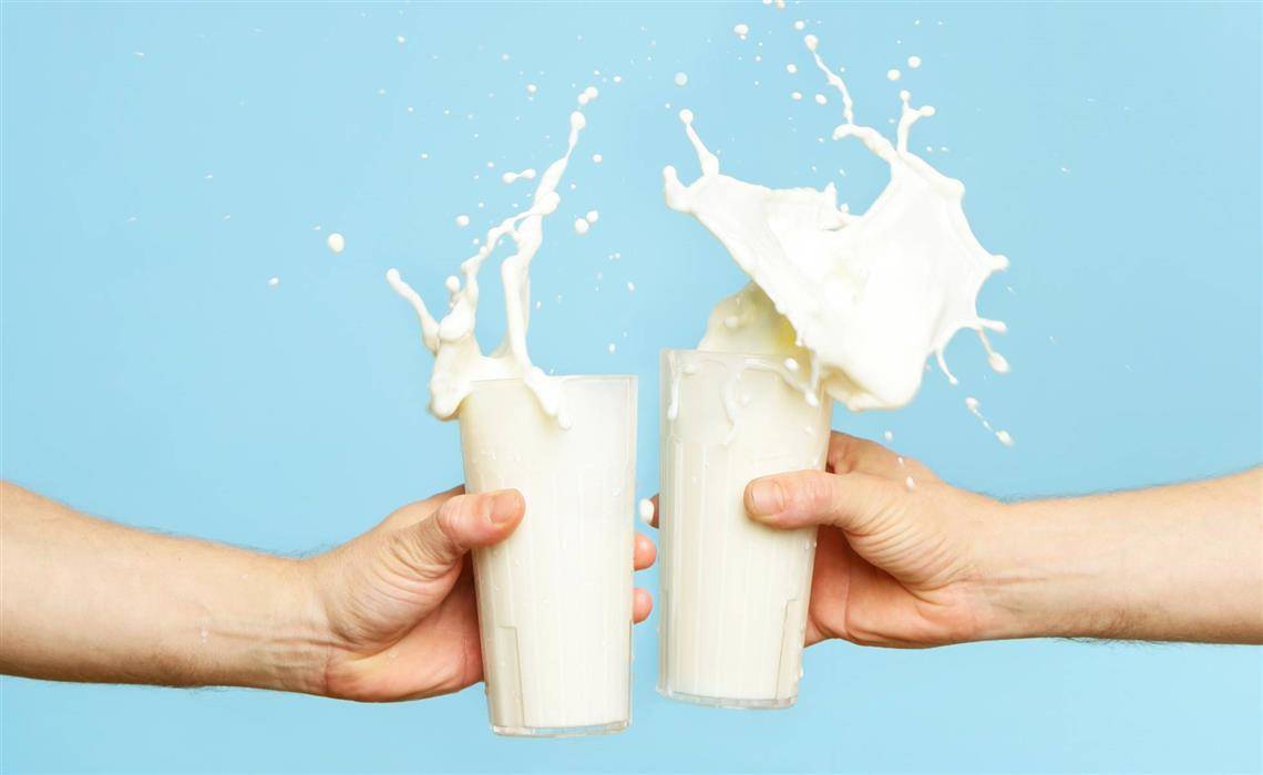 mleko za pridobivanje telesne teže